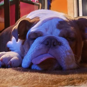 Meet your Posher, Becky